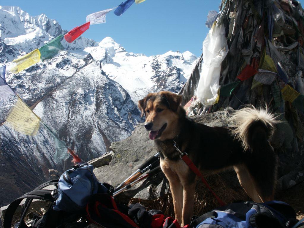Nepal Langtang Trekking (Natur und Bewegung)